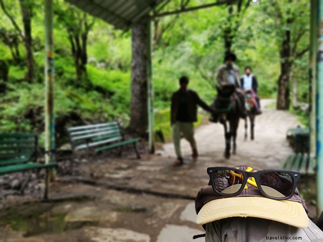 Ultimate Guide to Hemkund Sahib Trek & Valley of Flowers: Essential Travel Tips