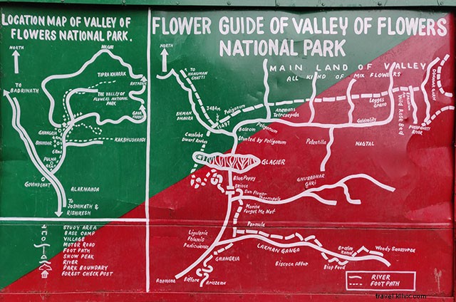 Valley of Flowers Trek Guide: Best Time to Visit, Detailed Itinerary & Essential Tips