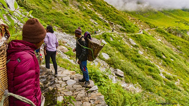 Valley of Flowers Trek Guide: Best Time to Visit, Detailed Itinerary & Essential Tips