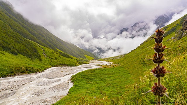 Valley of Flowers Trek Guide: Best Time to Visit, Detailed Itinerary & Essential Tips