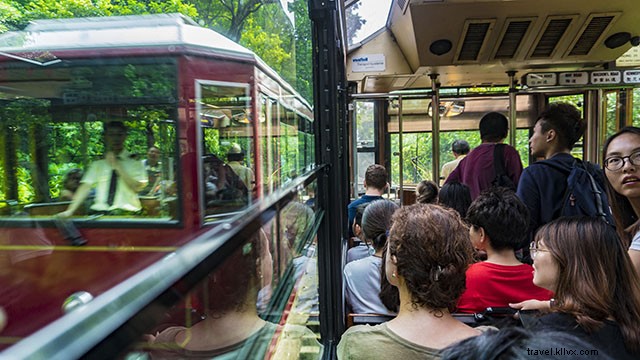 Hong Kong in 3 Days: Top Places to Visit & Ultimate Itinerary Guide