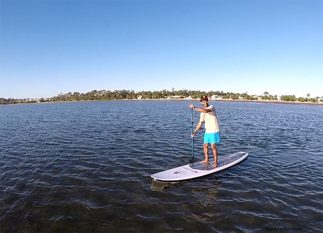 Top Must-Visit Attractions in Brisbane: Your Ultimate Travel Guide