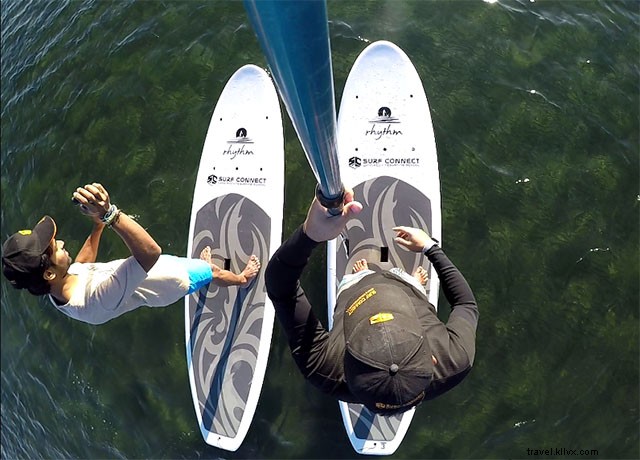 Top Must-Visit Attractions in Brisbane: Your Ultimate Travel Guide