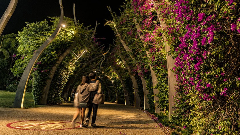 Top Must-Visit Attractions in Brisbane: Your Ultimate Travel Guide