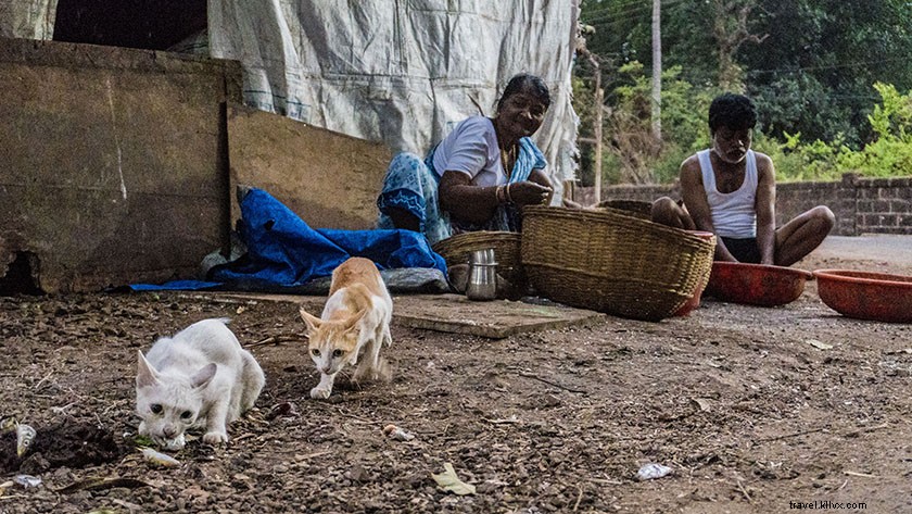 Discover the Best Tourist Places Near Mumbai: Beaches, Temples & Hidden Gems