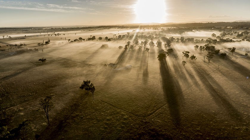 Ultimate Gold Coast Hot Air Balloon Experience: Insider Guide & Tips