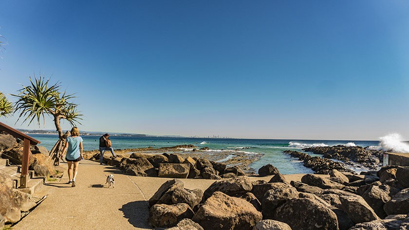 Ultimate 5-Day Gold Coast Itinerary: Beaches, Adventures & Insider Tips