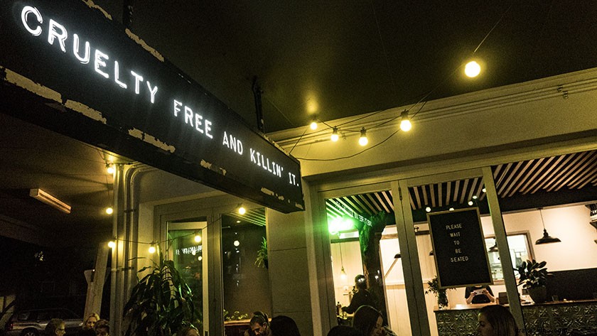 Ultimate 5-Day Gold Coast Itinerary: Beaches, Adventures & Insider Tips