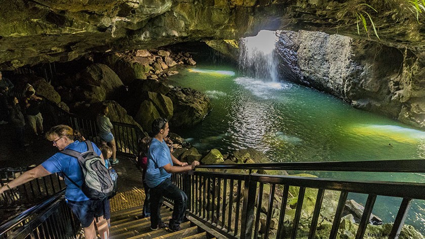 Ultimate 5-Day Gold Coast Itinerary: Beaches, Adventures & Insider Tips