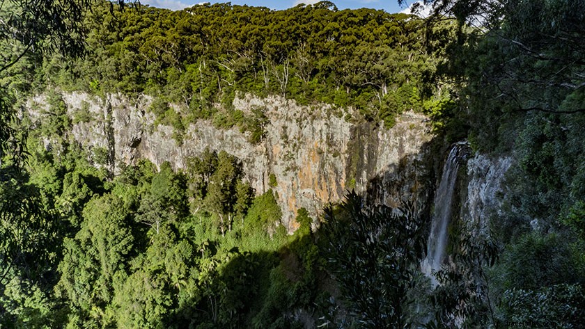 Ultimate 5-Day Gold Coast Itinerary: Beaches, Adventures & Insider Tips