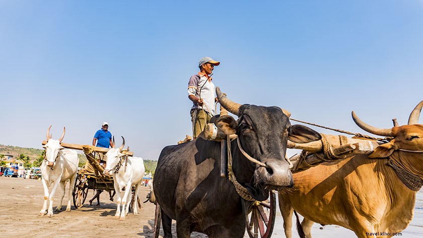 Ultimate Mumbai to Goa Road Trip: Konkan Coast Itinerary via Coastal Maharashtra