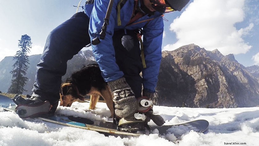 How to Buy a Snowboard in India & Master Snowboarding Under ₹30,000 – Expert Tips