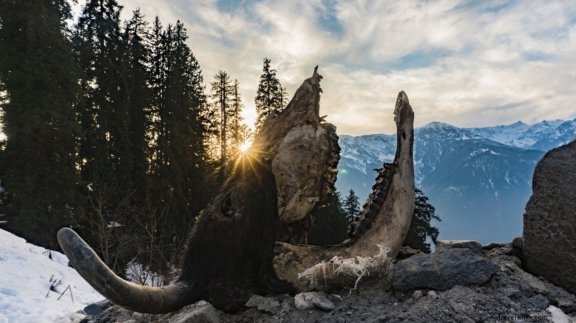 Why Solo Travel is the Ultimate Self-Development Tool