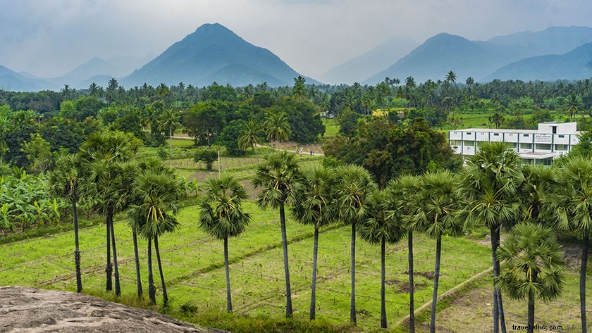 Exploring Padavedu Village, Tamil Nadu: Sustainable Living and Community Empowerment