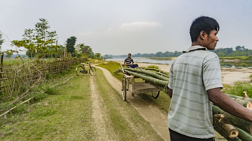 Top Things to Do in Majuli Island: Discover India s Largest River Island