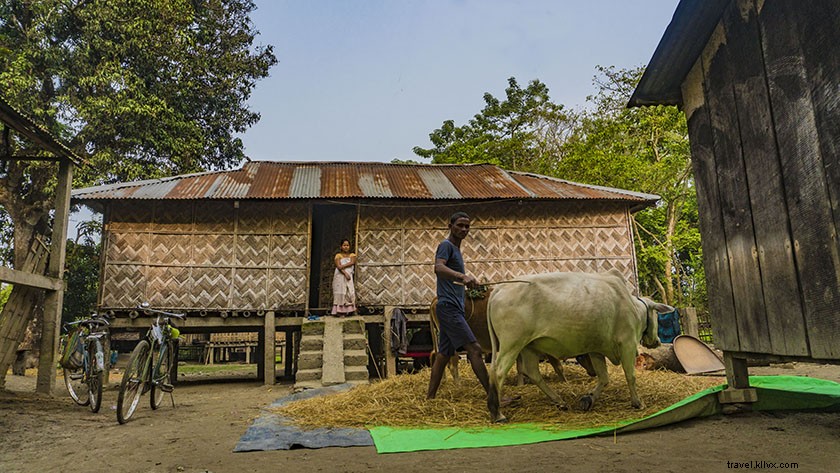 Top Things to Do in Majuli Island: Discover India s Largest River Island