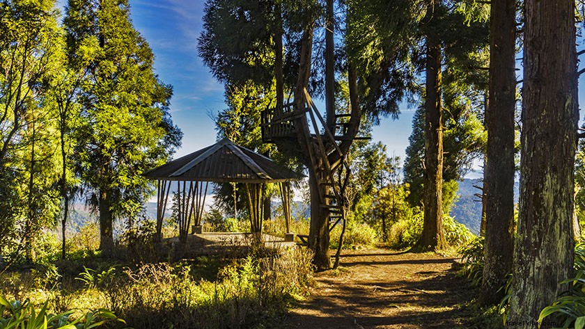 Discover Pfutsero: Nagaland s Highest Inhabited Town – An Enchanting Travel Adventure