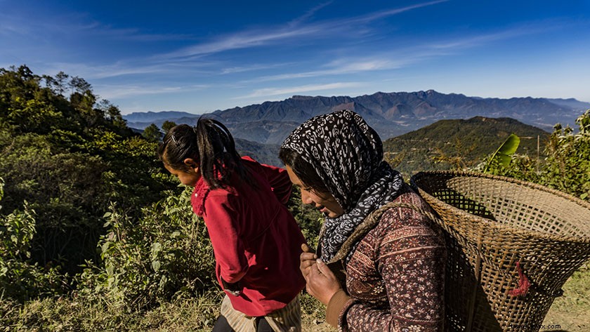 Discover Pfutsero: Nagaland s Highest Inhabited Town – An Enchanting Travel Adventure