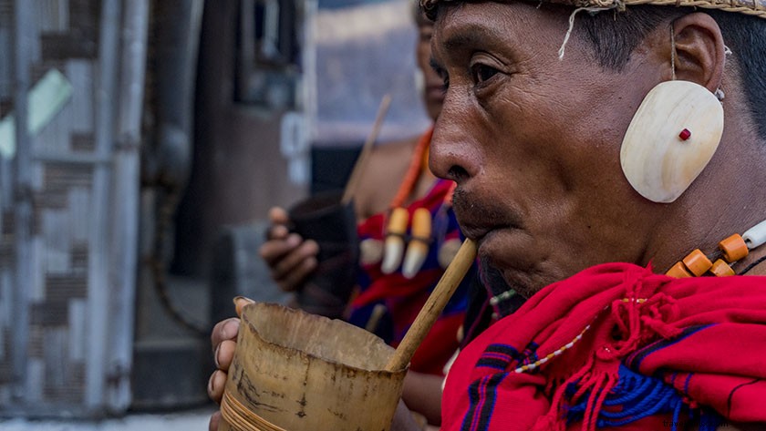 17 Stunning Hornbill Festival Photos: Your Ultimate Virtual Tour of Nagaland s Cultural Extravaganza