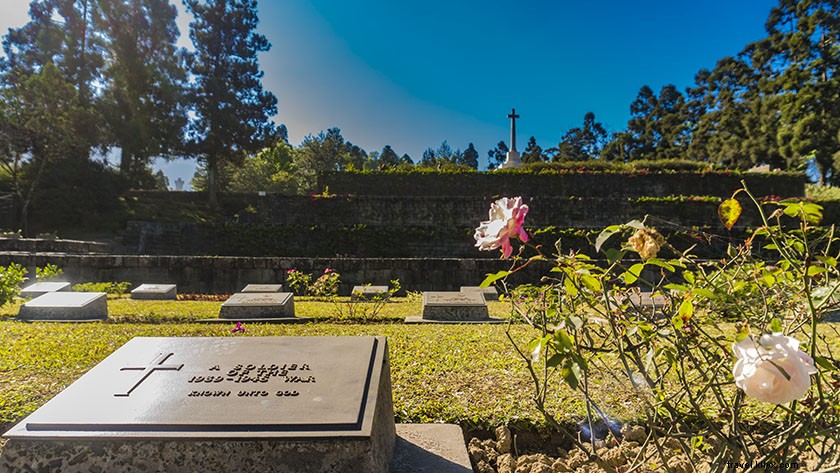 Ultimate Hornbill Festival Travel Guide: Kohima to Kisama, Top Places to Visit & More