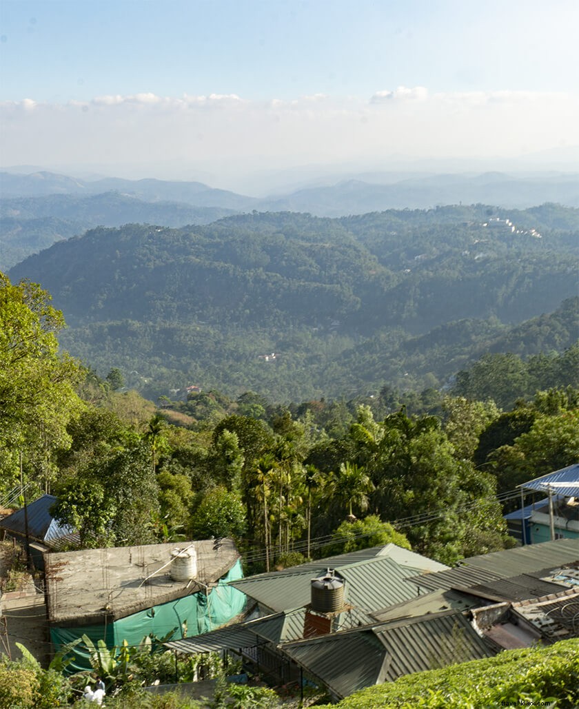 Top 5 Must-Visit Holiday Destinations in Kerala: Expert Traveler s Guide