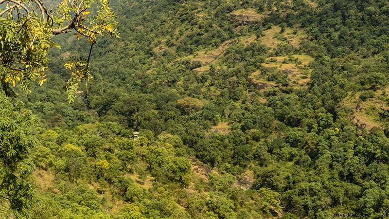 Top 5 Must-Visit Holiday Destinations in Kerala: Expert Traveler s Guide