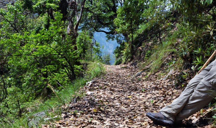 Top Lessons Learned from Solo Travel: Personal Growth and Self-Discovery