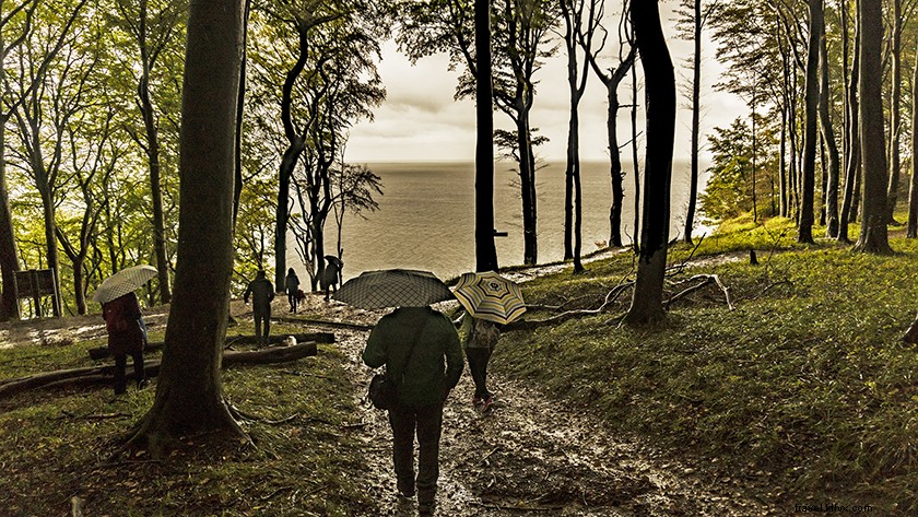 Top Places to Visit in Rügen, Germany: Discover the Island s Hidden Gems