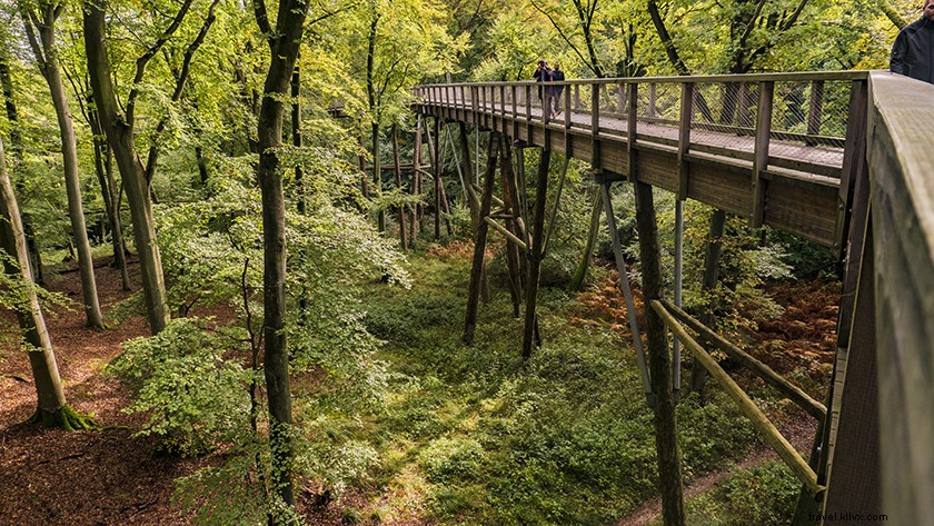 Top Places to Visit in Rügen, Germany: Discover the Island s Hidden Gems