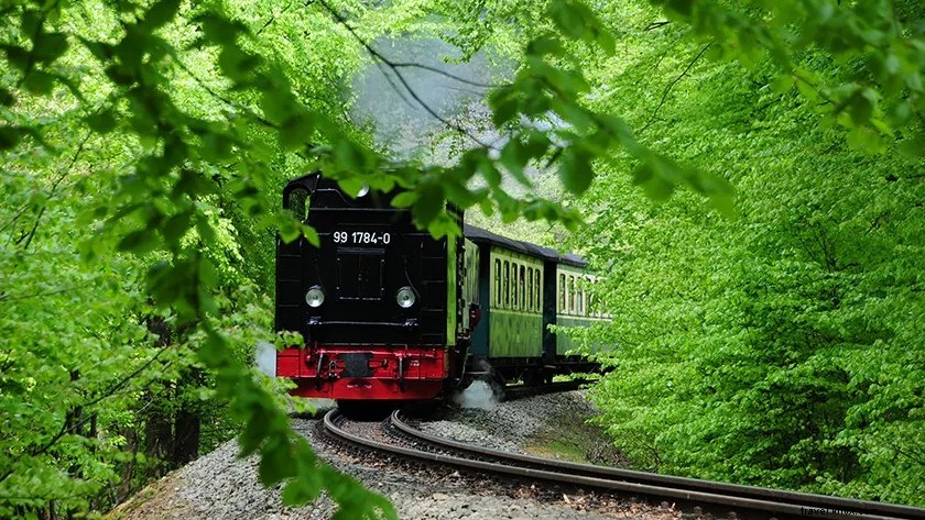 Top Places to Visit in Rügen, Germany: Discover the Island s Hidden Gems