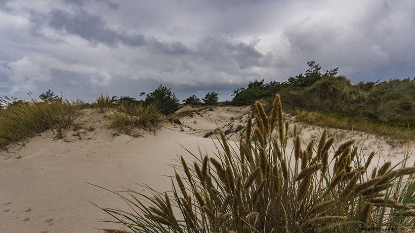 Discover Kühlungsborn: Germany s Best-Kept Secret on the Baltic Coast