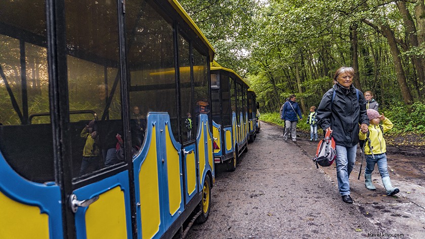 Explore Hiking Trails in Darss Forest, Pomeranian Boddenlandschaft National Park