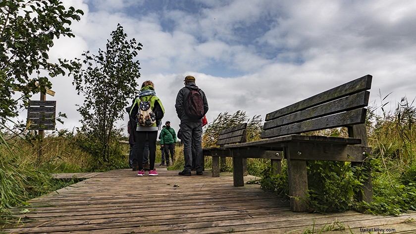 Explore Hiking Trails in Darss Forest, Pomeranian Boddenlandschaft National Park