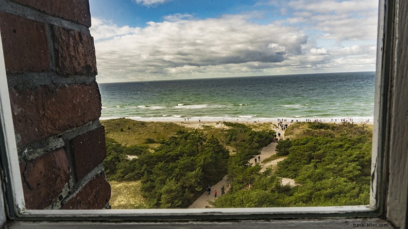 Explore Hiking Trails in Darss Forest, Pomeranian Boddenlandschaft National Park