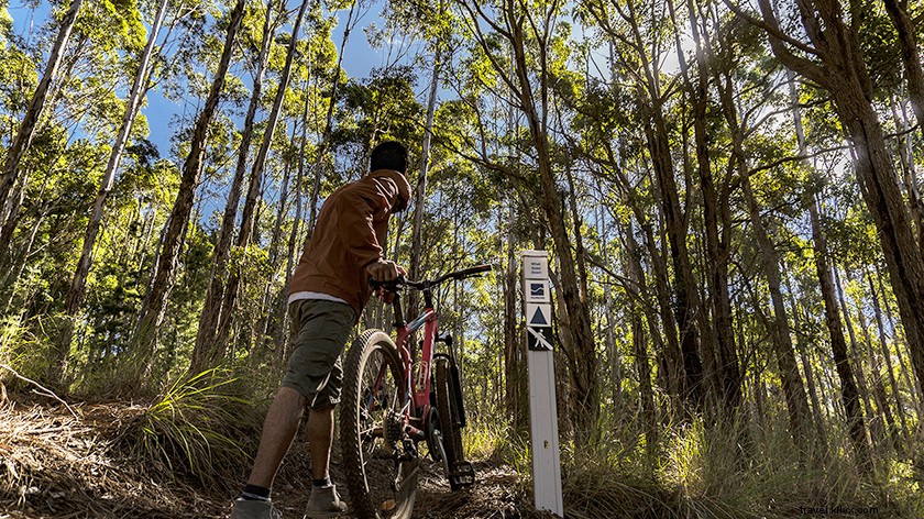 Ultimate Guide to Mountain Biking in Margaret River: Trails, Tips & Essentials
