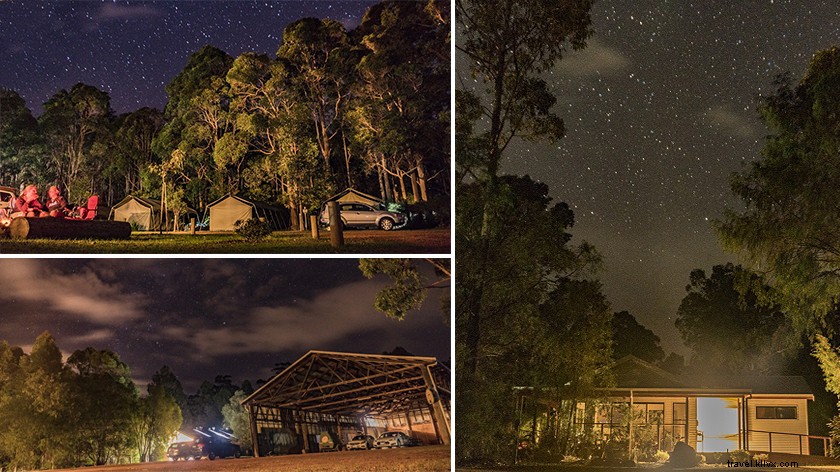 Ultimate Guide to Mountain Biking in Margaret River: Trails, Tips & Essentials