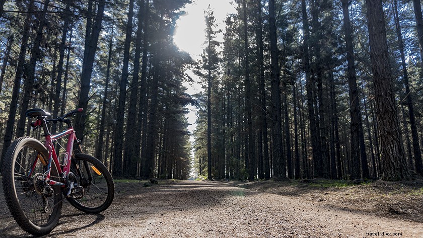 Ultimate Guide to Mountain Biking in Margaret River: Trails, Tips & Essentials