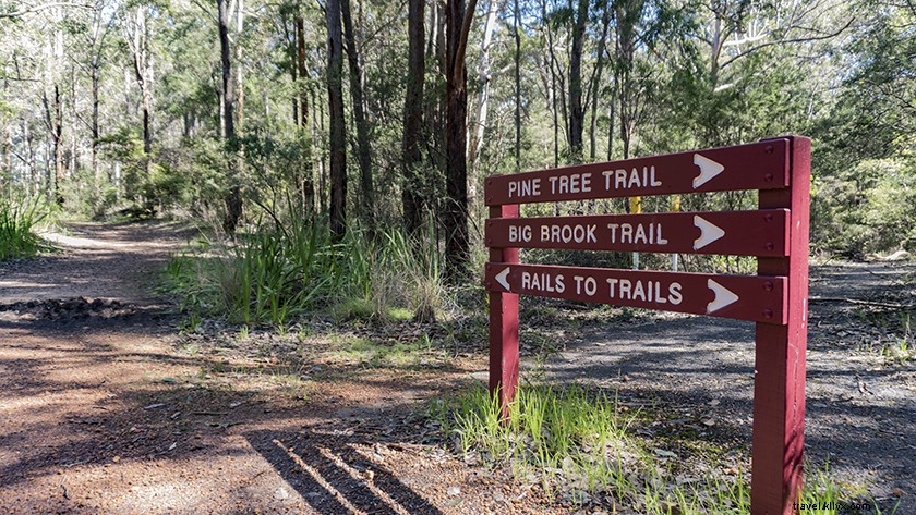 Ultimate Guide to Mountain Biking in Margaret River: Trails, Tips & Essentials
