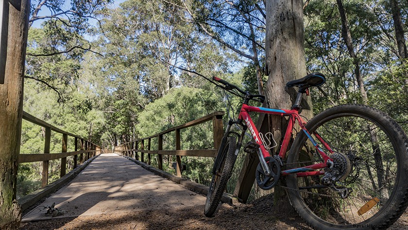 Ultimate Guide to Mountain Biking in Margaret River: Trails, Tips & Essentials