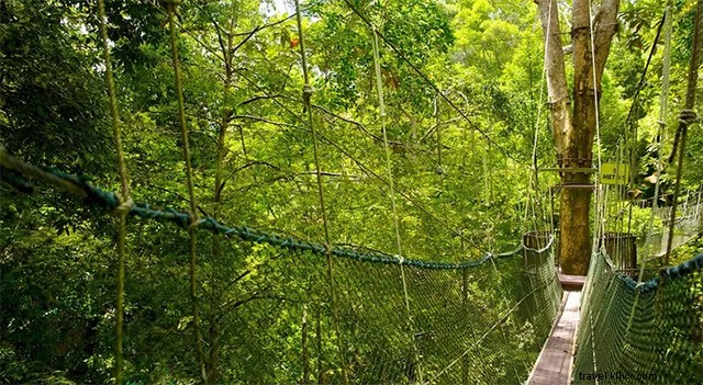 Ultimate Penang Travel Guide: Explore Top Attractions in Just 3 Days