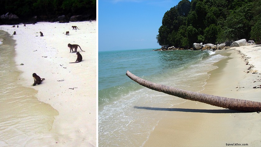 Ultimate Penang Travel Guide: Explore Top Attractions in Just 3 Days