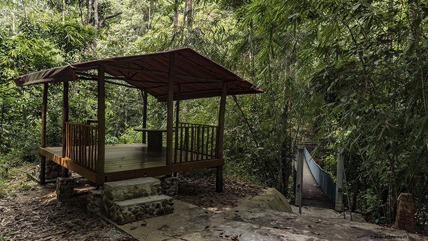 Ultimate Selangor Travel Guide: Top Attractions & Things to Do Near Kuala Lumpur