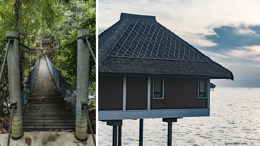 Serene Zen Retreats in Selangor: Escape Kuala Lumpur s Chaos