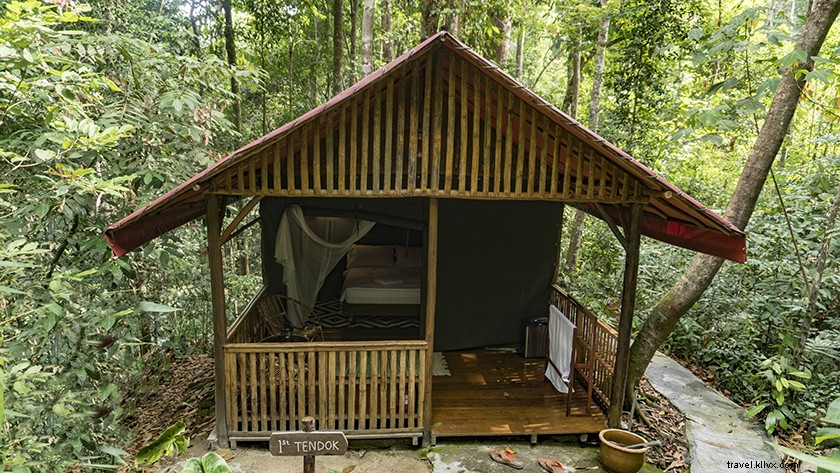 Serene Zen Retreats in Selangor: Escape Kuala Lumpur s Chaos