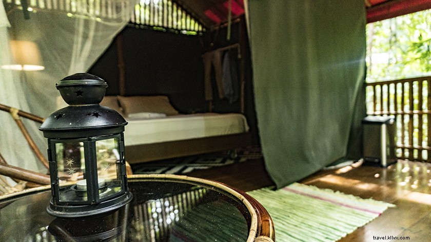 Serene Zen Retreats in Selangor: Escape Kuala Lumpur s Chaos