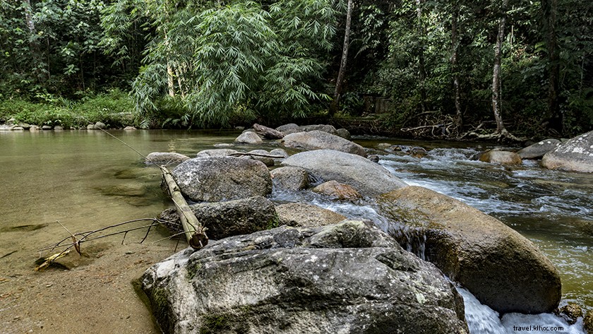 Serene Zen Retreats in Selangor: Escape Kuala Lumpur s Chaos