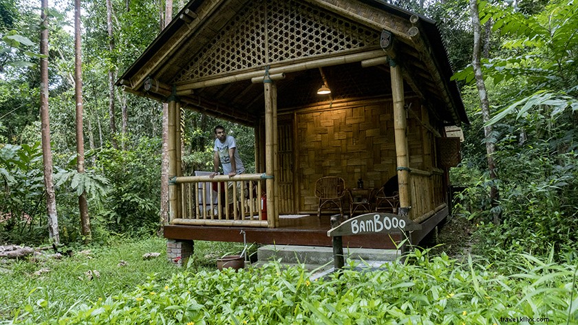 Serene Zen Retreats in Selangor: Escape Kuala Lumpur s Chaos