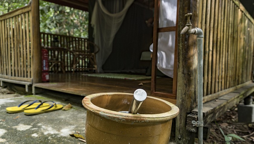 Serene Zen Retreats in Selangor: Escape Kuala Lumpur s Chaos