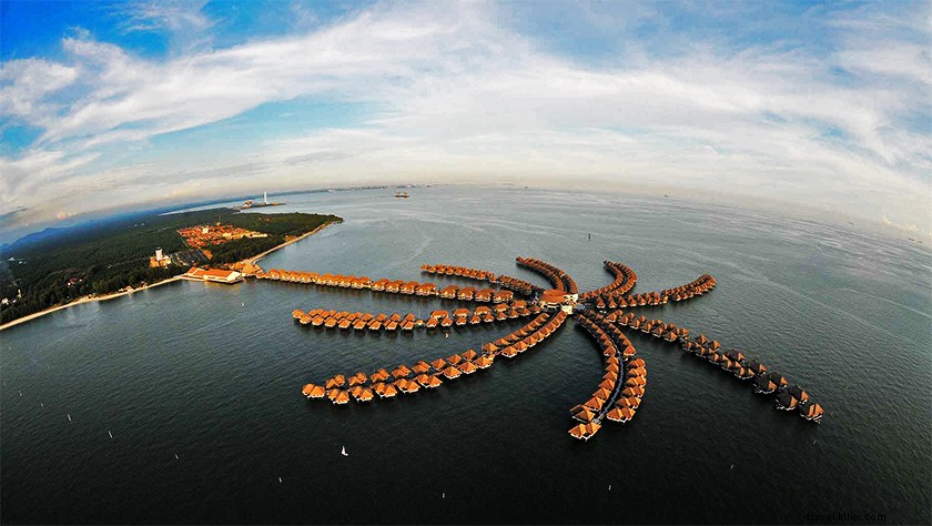 Serene Zen Retreats in Selangor: Escape Kuala Lumpur s Chaos