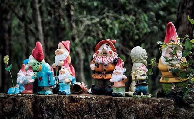 Discover Bunbury: Top Attractions, Beaches, Wildlife & Wineries in Western Australia